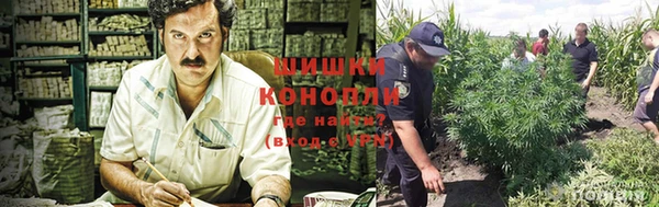 альфа пвп Верхнеуральск
